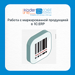 ������ � ������������� ���������� � 1�:ERP